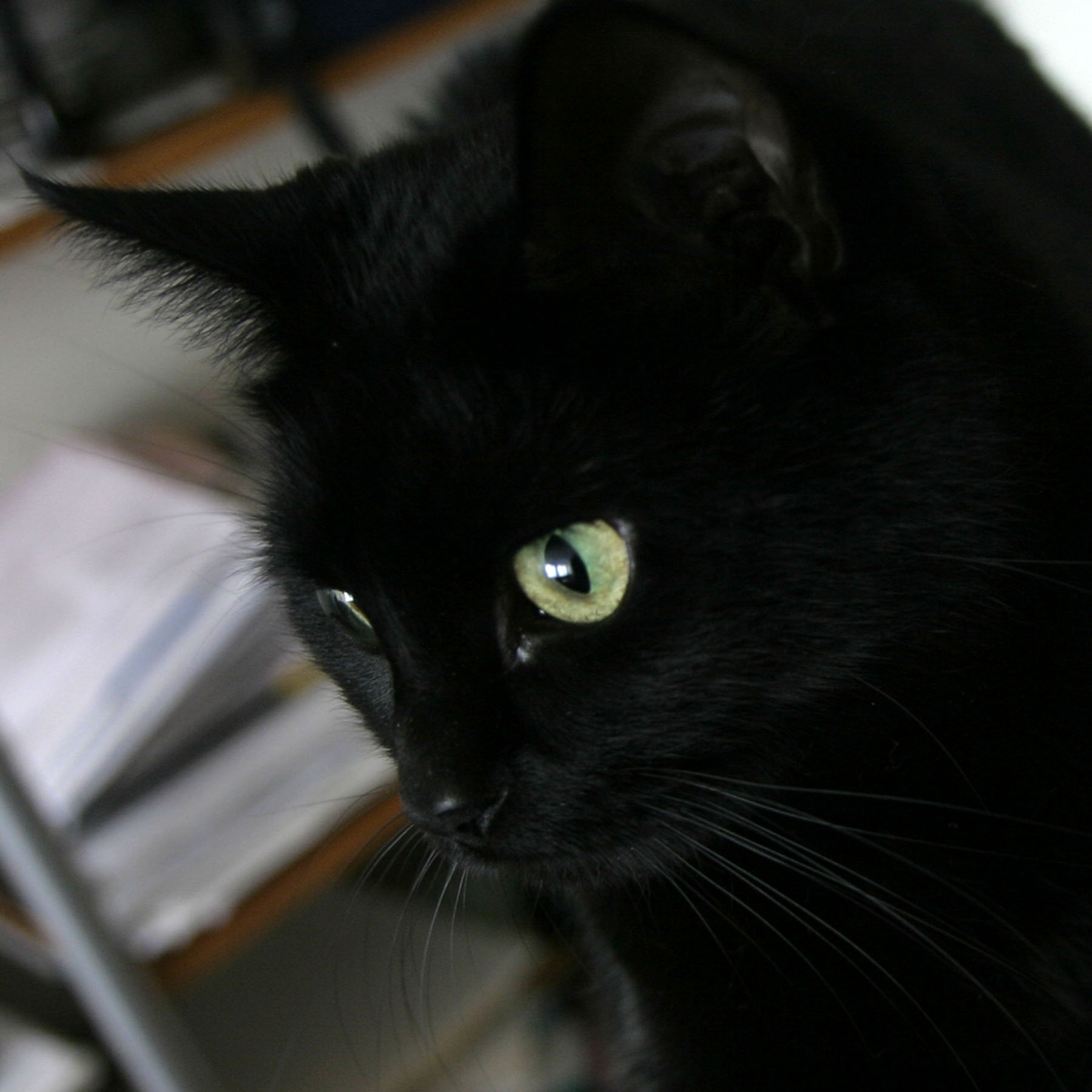 Sysop
